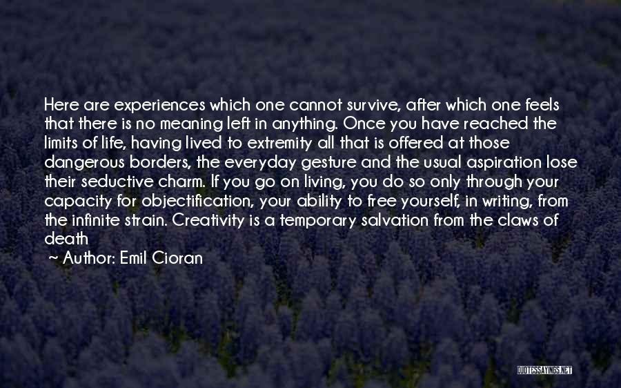 Emil Cioran Quotes: Here Are Experiences Which One Cannot Survive, After Which One Feels That There Is No Meaning Left In Anything. Once