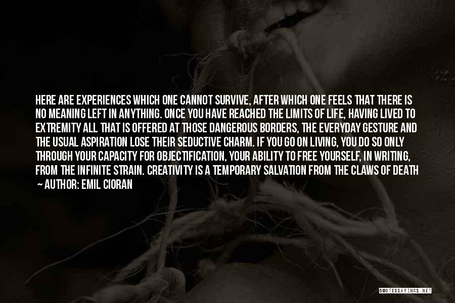 Emil Cioran Quotes: Here Are Experiences Which One Cannot Survive, After Which One Feels That There Is No Meaning Left In Anything. Once