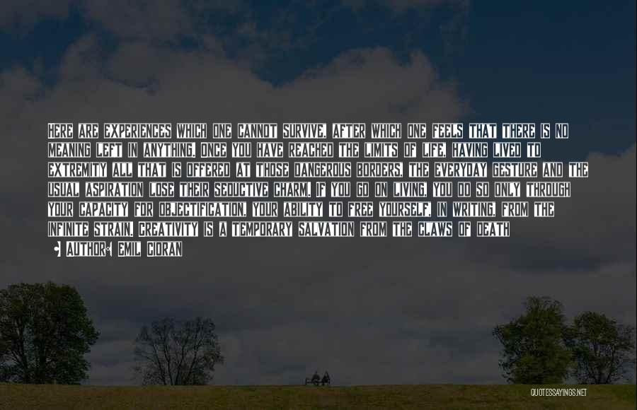 Emil Cioran Quotes: Here Are Experiences Which One Cannot Survive, After Which One Feels That There Is No Meaning Left In Anything. Once