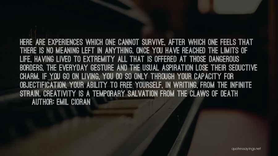 Emil Cioran Quotes: Here Are Experiences Which One Cannot Survive, After Which One Feels That There Is No Meaning Left In Anything. Once
