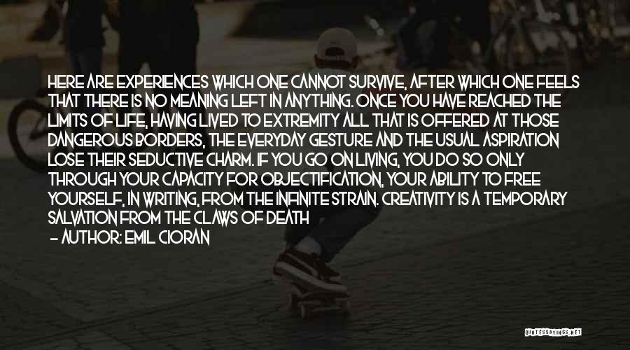 Emil Cioran Quotes: Here Are Experiences Which One Cannot Survive, After Which One Feels That There Is No Meaning Left In Anything. Once