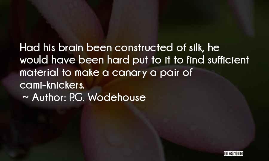 P.G. Wodehouse Quotes: Had His Brain Been Constructed Of Silk, He Would Have Been Hard Put To It To Find Sufficient Material To