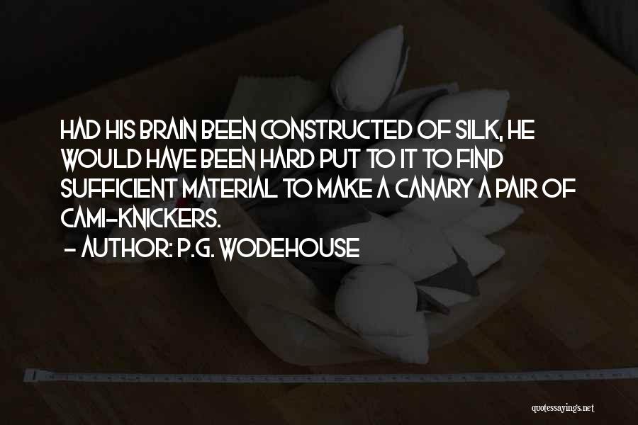 P.G. Wodehouse Quotes: Had His Brain Been Constructed Of Silk, He Would Have Been Hard Put To It To Find Sufficient Material To