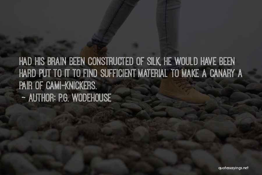 P.G. Wodehouse Quotes: Had His Brain Been Constructed Of Silk, He Would Have Been Hard Put To It To Find Sufficient Material To