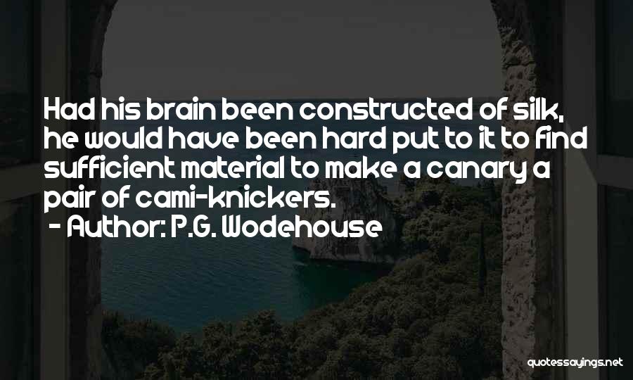 P.G. Wodehouse Quotes: Had His Brain Been Constructed Of Silk, He Would Have Been Hard Put To It To Find Sufficient Material To