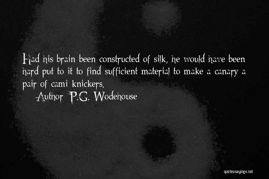 P.G. Wodehouse Quotes: Had His Brain Been Constructed Of Silk, He Would Have Been Hard Put To It To Find Sufficient Material To