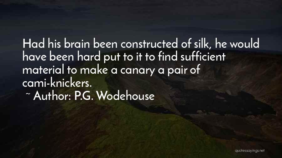 P.G. Wodehouse Quotes: Had His Brain Been Constructed Of Silk, He Would Have Been Hard Put To It To Find Sufficient Material To