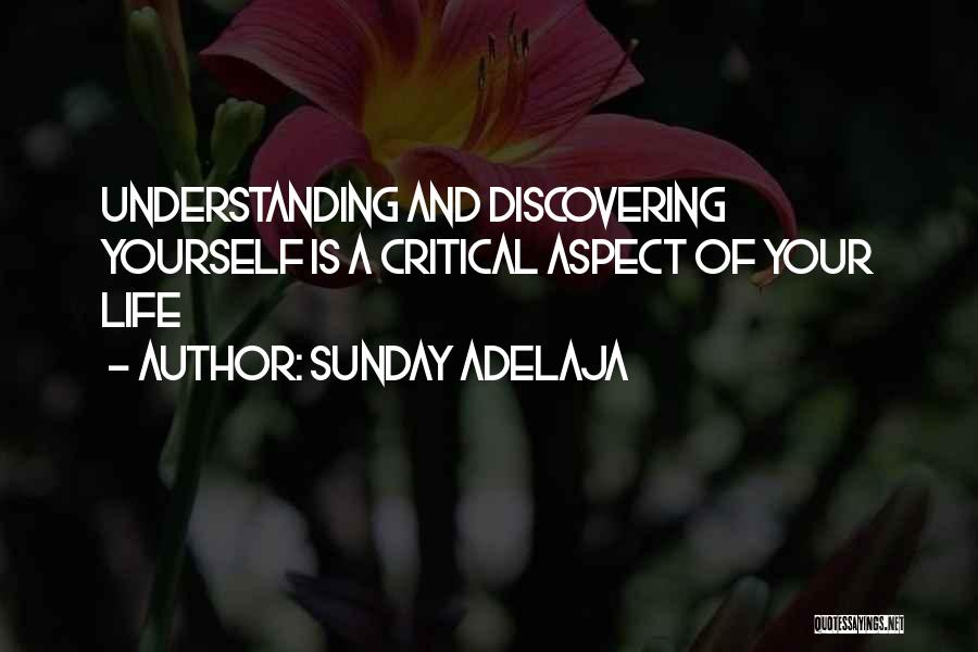 Sunday Adelaja Quotes: Understanding And Discovering Yourself Is A Critical Aspect Of Your Life