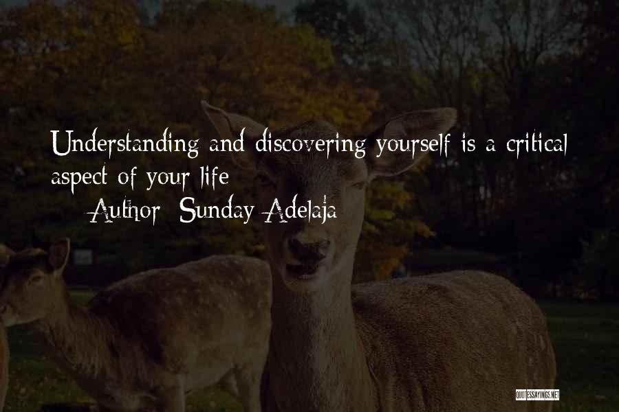 Sunday Adelaja Quotes: Understanding And Discovering Yourself Is A Critical Aspect Of Your Life