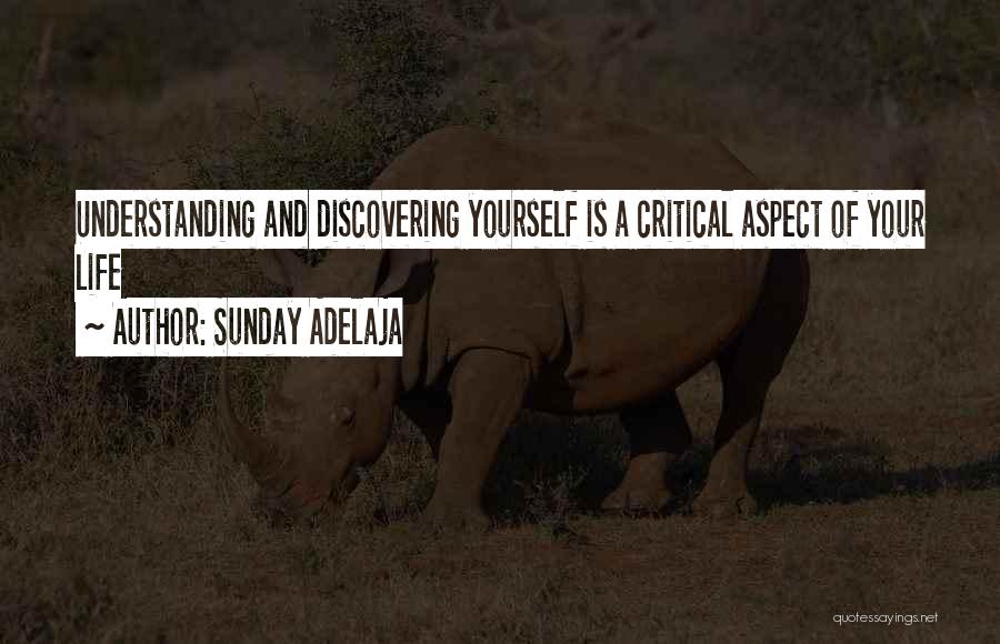 Sunday Adelaja Quotes: Understanding And Discovering Yourself Is A Critical Aspect Of Your Life