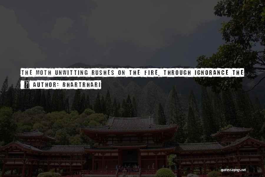 Bhartrhari Quotes: The Moth Unwitting Rushes On The Fire, Through Ignorance The Fish Devours The Bait, We Men Know Well The Foes