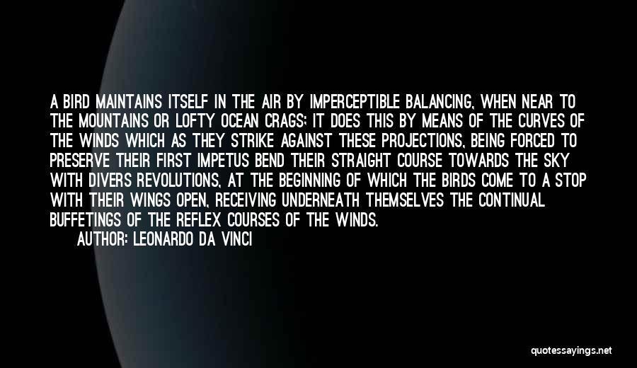 Leonardo Da Vinci Quotes: A Bird Maintains Itself In The Air By Imperceptible Balancing, When Near To The Mountains Or Lofty Ocean Crags; It