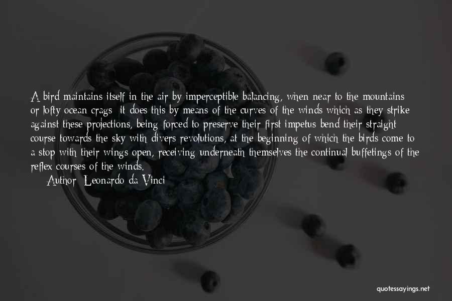 Leonardo Da Vinci Quotes: A Bird Maintains Itself In The Air By Imperceptible Balancing, When Near To The Mountains Or Lofty Ocean Crags; It