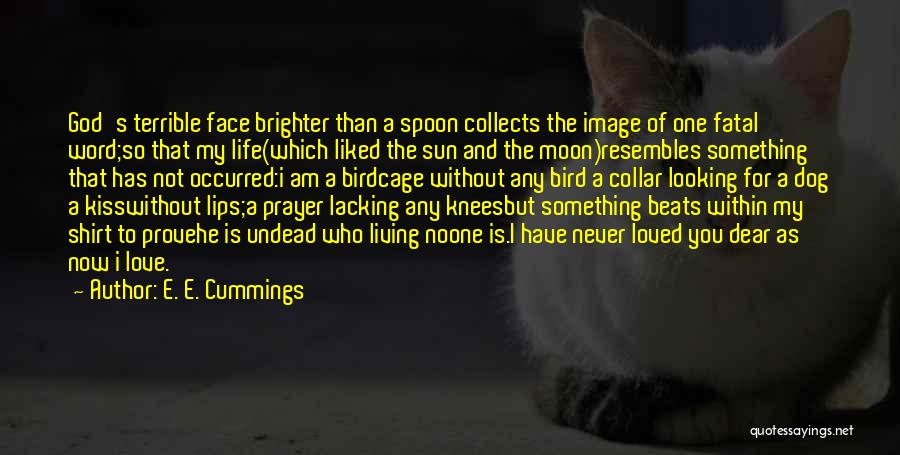 E. E. Cummings Quotes: God's Terrible Face Brighter Than A Spoon Collects The Image Of One Fatal Word;so That My Life(which Liked The Sun