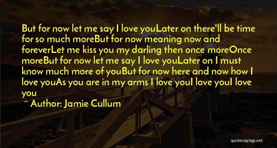 Jamie Cullum Quotes: But For Now Let Me Say I Love Youlater On There'll Be Time For So Much Morebut For Now Meaning