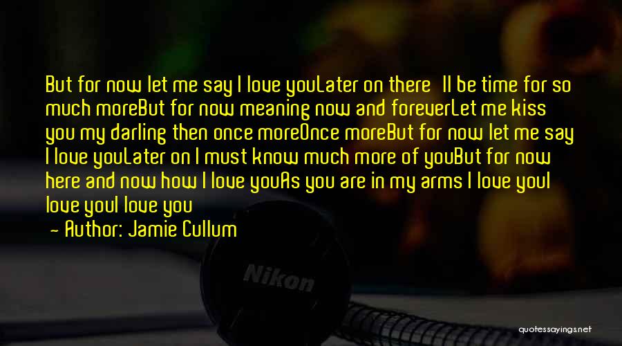 Jamie Cullum Quotes: But For Now Let Me Say I Love Youlater On There'll Be Time For So Much Morebut For Now Meaning