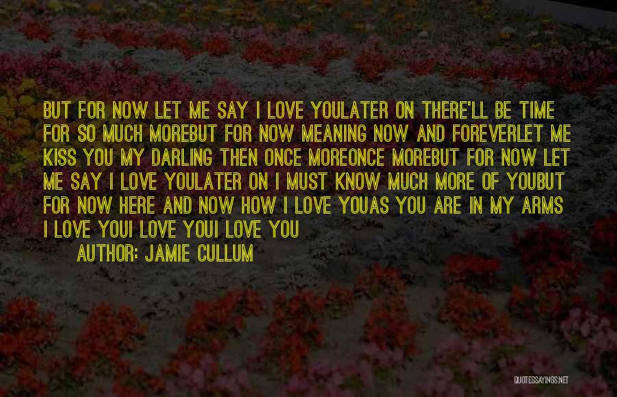 Jamie Cullum Quotes: But For Now Let Me Say I Love Youlater On There'll Be Time For So Much Morebut For Now Meaning