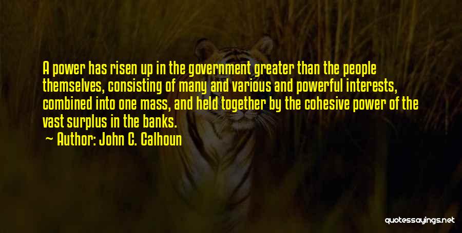 John C. Calhoun Quotes: A Power Has Risen Up In The Government Greater Than The People Themselves, Consisting Of Many And Various And Powerful