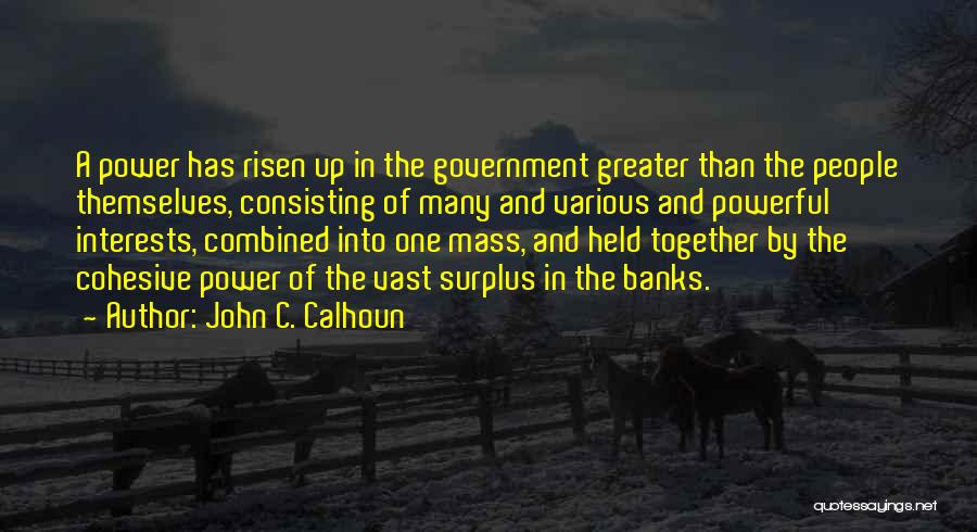 John C. Calhoun Quotes: A Power Has Risen Up In The Government Greater Than The People Themselves, Consisting Of Many And Various And Powerful