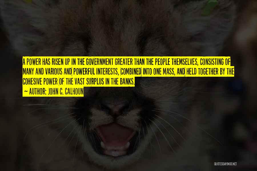John C. Calhoun Quotes: A Power Has Risen Up In The Government Greater Than The People Themselves, Consisting Of Many And Various And Powerful