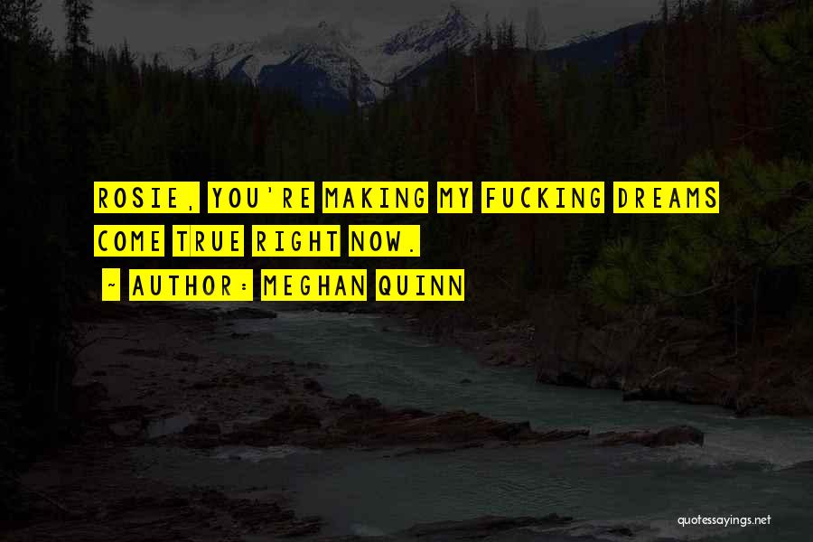 Meghan Quinn Quotes: Rosie, You're Making My Fucking Dreams Come True Right Now.