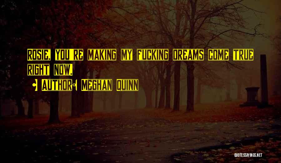 Meghan Quinn Quotes: Rosie, You're Making My Fucking Dreams Come True Right Now.