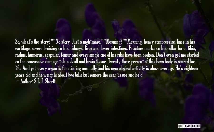 S.L.J. Shortt Quotes: So, What's The Story?no Story. Just A Nightmare.meaning?meaning, Heavy Compression Lines In His Cartilage, Severe Bruising On His Kidneys, Liver