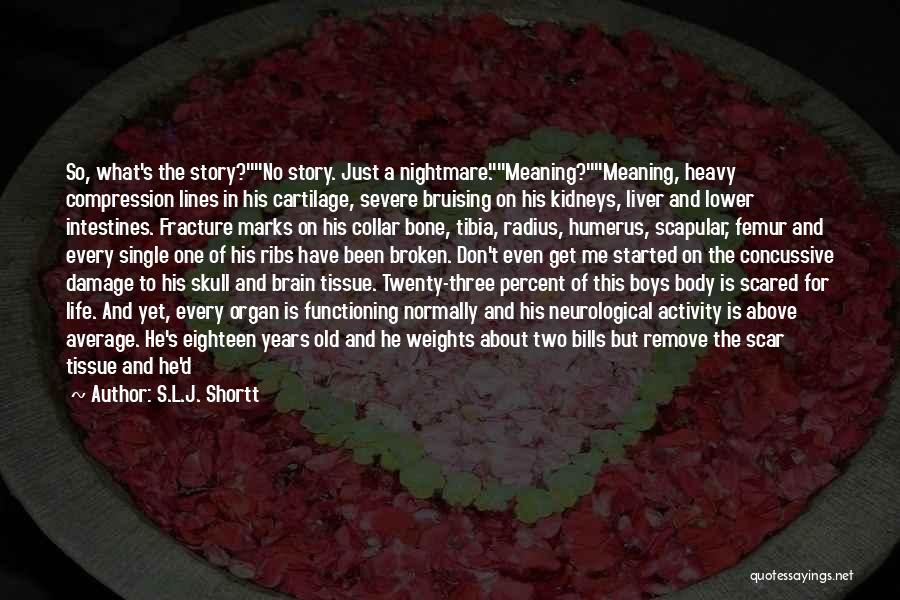 S.L.J. Shortt Quotes: So, What's The Story?no Story. Just A Nightmare.meaning?meaning, Heavy Compression Lines In His Cartilage, Severe Bruising On His Kidneys, Liver