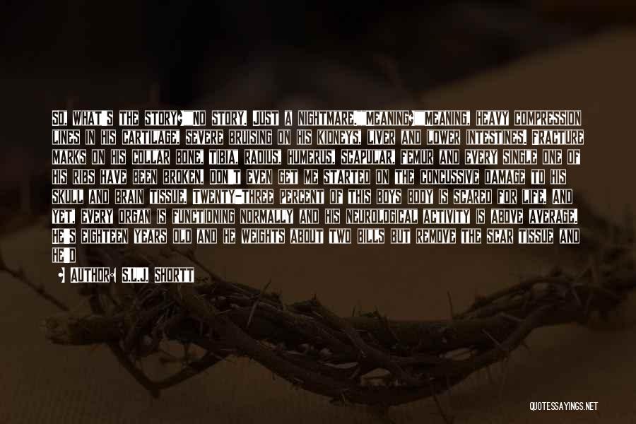 S.L.J. Shortt Quotes: So, What's The Story?no Story. Just A Nightmare.meaning?meaning, Heavy Compression Lines In His Cartilage, Severe Bruising On His Kidneys, Liver