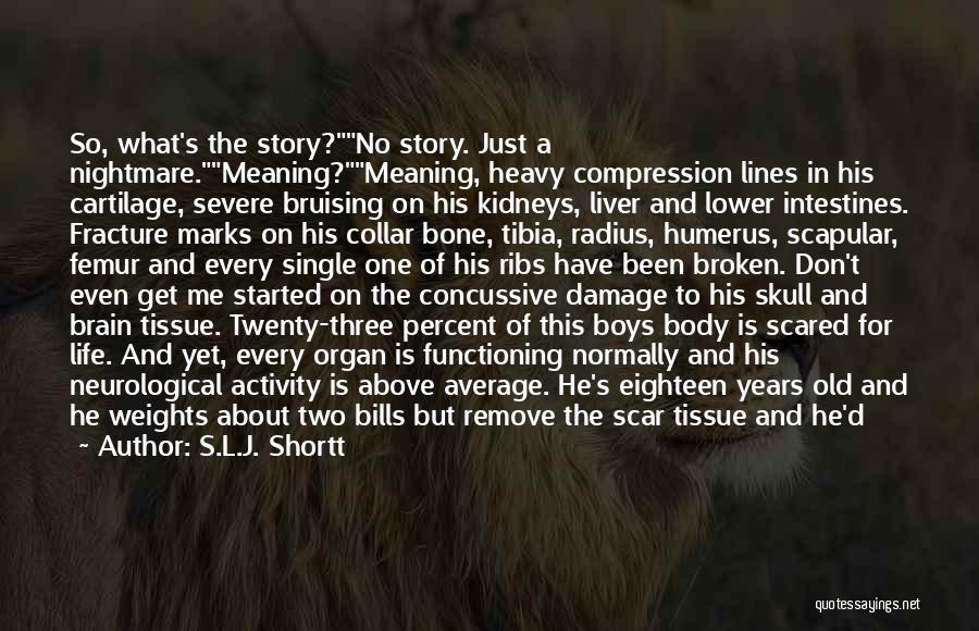 S.L.J. Shortt Quotes: So, What's The Story?no Story. Just A Nightmare.meaning?meaning, Heavy Compression Lines In His Cartilage, Severe Bruising On His Kidneys, Liver