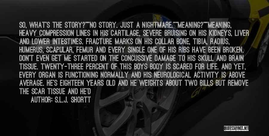 S.L.J. Shortt Quotes: So, What's The Story?no Story. Just A Nightmare.meaning?meaning, Heavy Compression Lines In His Cartilage, Severe Bruising On His Kidneys, Liver