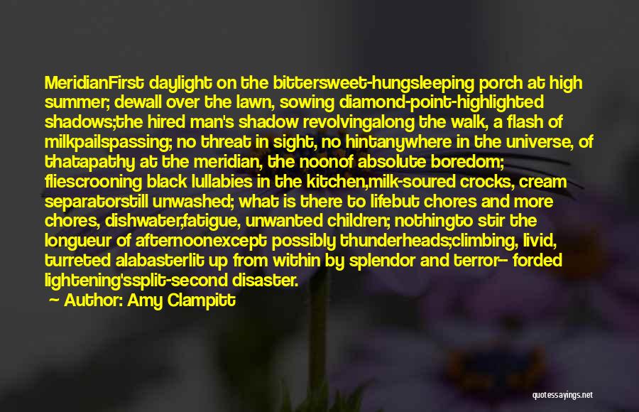 Amy Clampitt Quotes: Meridianfirst Daylight On The Bittersweet-hungsleeping Porch At High Summer; Dewall Over The Lawn, Sowing Diamond-point-highlighted Shadows;the Hired Man's Shadow Revolvingalong