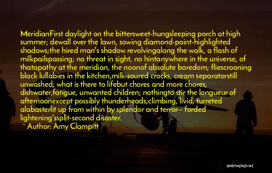 Amy Clampitt Quotes: Meridianfirst Daylight On The Bittersweet-hungsleeping Porch At High Summer; Dewall Over The Lawn, Sowing Diamond-point-highlighted Shadows;the Hired Man's Shadow Revolvingalong