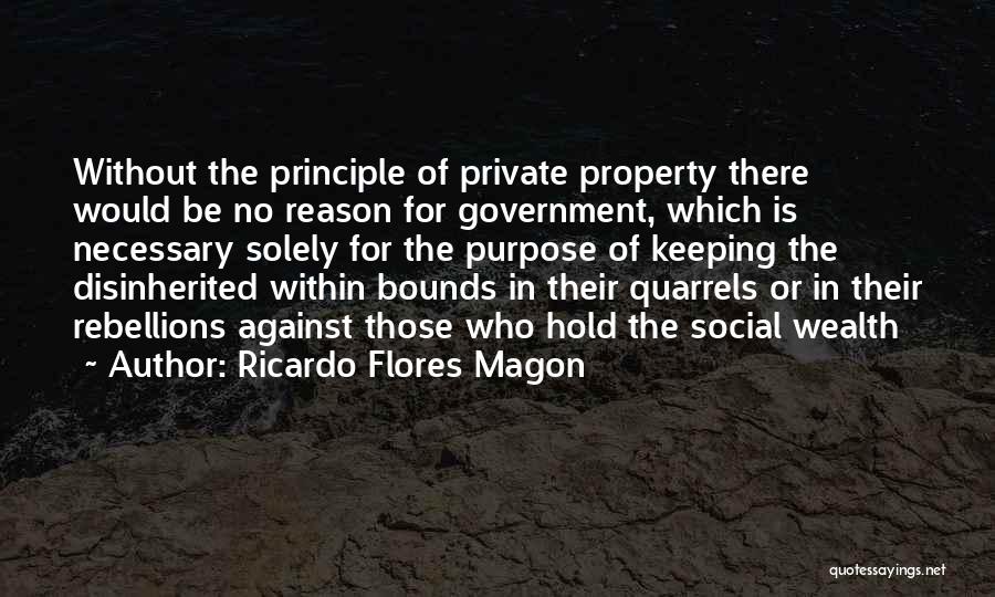 Ricardo Flores Magon Quotes: Without The Principle Of Private Property There Would Be No Reason For Government, Which Is Necessary Solely For The Purpose