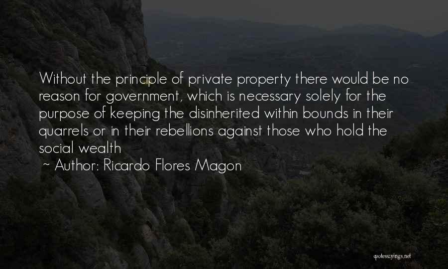 Ricardo Flores Magon Quotes: Without The Principle Of Private Property There Would Be No Reason For Government, Which Is Necessary Solely For The Purpose