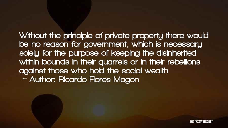 Ricardo Flores Magon Quotes: Without The Principle Of Private Property There Would Be No Reason For Government, Which Is Necessary Solely For The Purpose