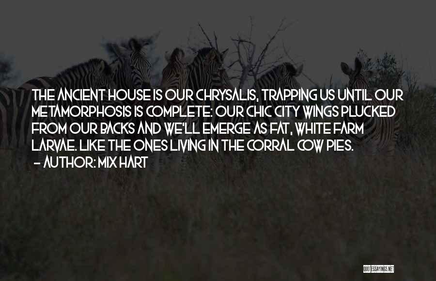 Mix Hart Quotes: The Ancient House Is Our Chrysalis, Trapping Us Until Our Metamorphosis Is Complete: Our Chic City Wings Plucked From Our