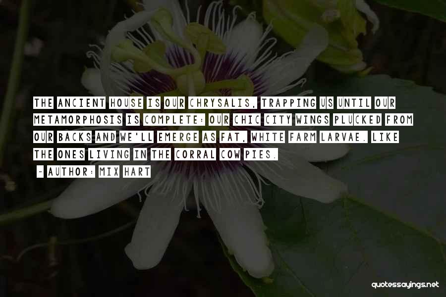 Mix Hart Quotes: The Ancient House Is Our Chrysalis, Trapping Us Until Our Metamorphosis Is Complete: Our Chic City Wings Plucked From Our