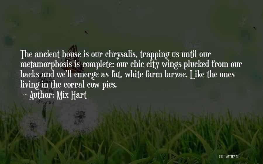 Mix Hart Quotes: The Ancient House Is Our Chrysalis, Trapping Us Until Our Metamorphosis Is Complete: Our Chic City Wings Plucked From Our