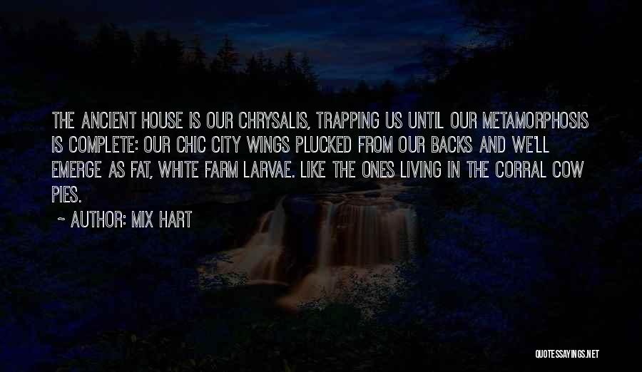 Mix Hart Quotes: The Ancient House Is Our Chrysalis, Trapping Us Until Our Metamorphosis Is Complete: Our Chic City Wings Plucked From Our