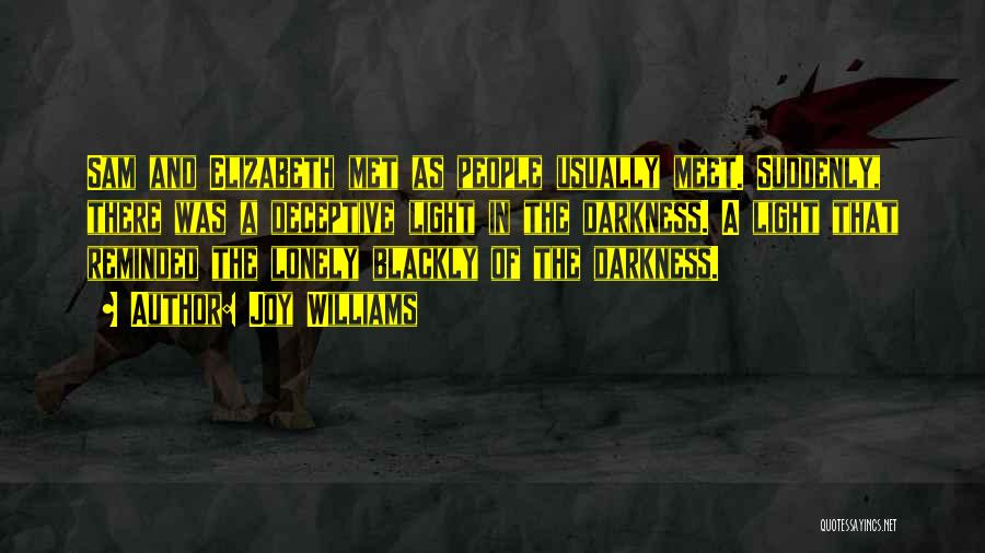 Joy Williams Quotes: Sam And Elizabeth Met As People Usually Meet. Suddenly, There Was A Deceptive Light In The Darkness. A Light That