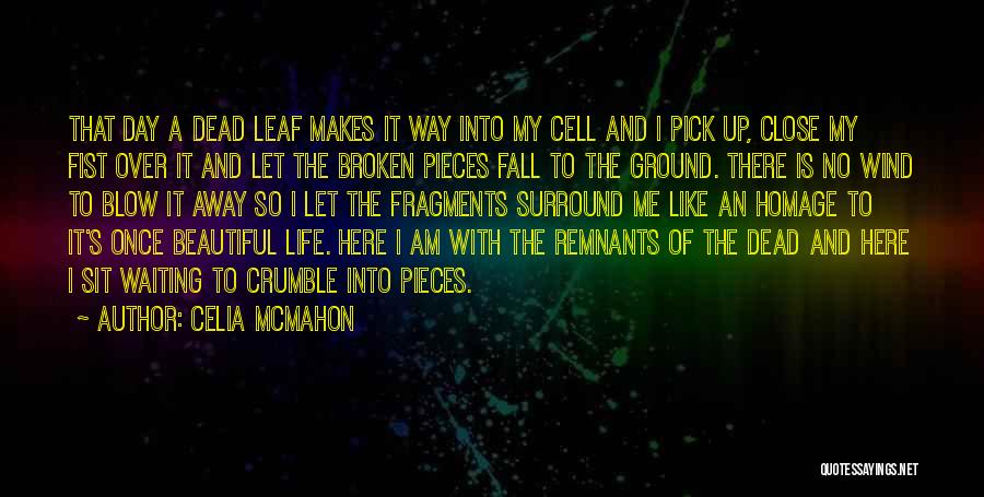 Celia Mcmahon Quotes: That Day A Dead Leaf Makes It Way Into My Cell And I Pick Up, Close My Fist Over It