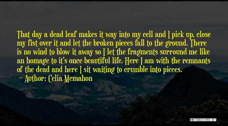 Celia Mcmahon Quotes: That Day A Dead Leaf Makes It Way Into My Cell And I Pick Up, Close My Fist Over It
