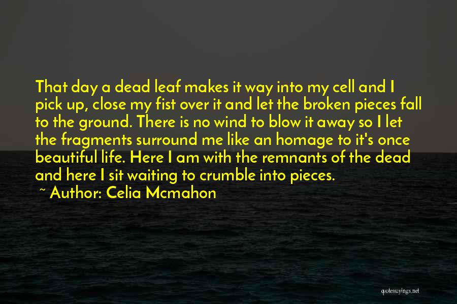 Celia Mcmahon Quotes: That Day A Dead Leaf Makes It Way Into My Cell And I Pick Up, Close My Fist Over It