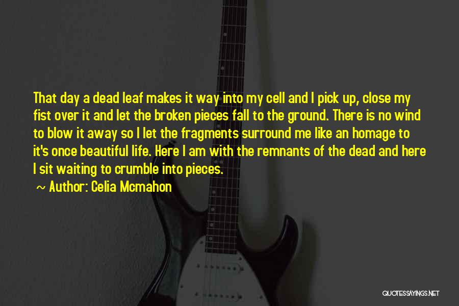 Celia Mcmahon Quotes: That Day A Dead Leaf Makes It Way Into My Cell And I Pick Up, Close My Fist Over It