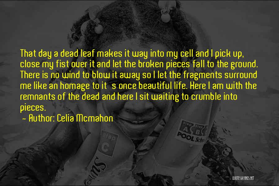 Celia Mcmahon Quotes: That Day A Dead Leaf Makes It Way Into My Cell And I Pick Up, Close My Fist Over It