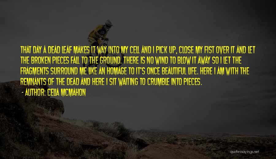 Celia Mcmahon Quotes: That Day A Dead Leaf Makes It Way Into My Cell And I Pick Up, Close My Fist Over It