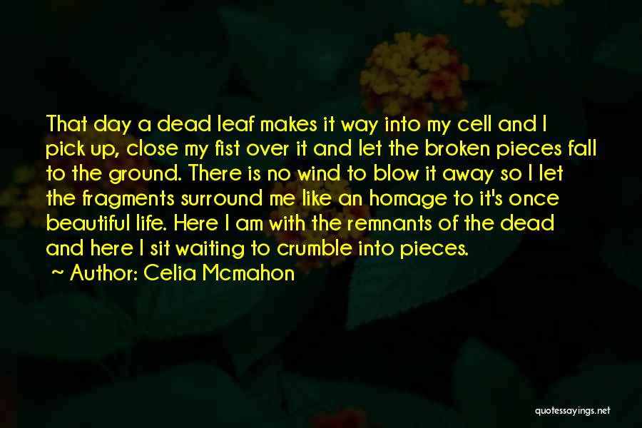 Celia Mcmahon Quotes: That Day A Dead Leaf Makes It Way Into My Cell And I Pick Up, Close My Fist Over It