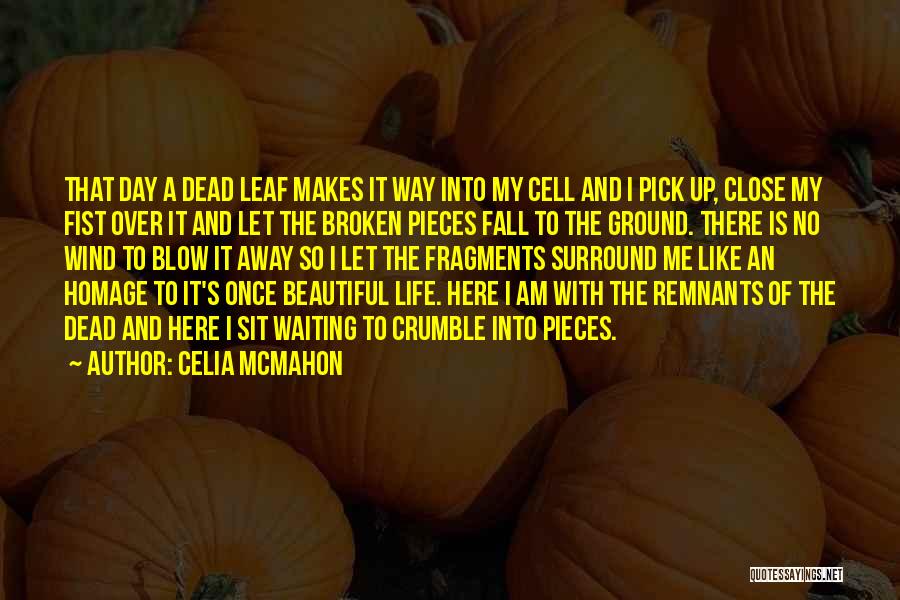Celia Mcmahon Quotes: That Day A Dead Leaf Makes It Way Into My Cell And I Pick Up, Close My Fist Over It
