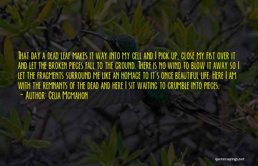 Celia Mcmahon Quotes: That Day A Dead Leaf Makes It Way Into My Cell And I Pick Up, Close My Fist Over It